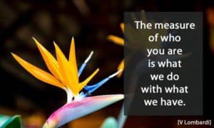 Quote: The measure of who...