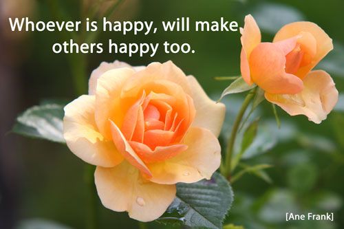 Quote: Whoever is happy...
