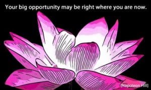 Quote: Your BIG opportunity...