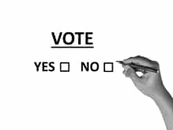 Voting Card: Yes or No!