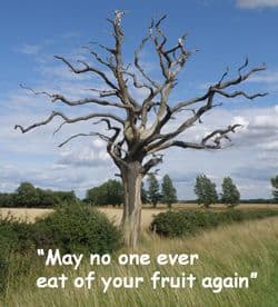 Dead tree with quote: "May no one ever..."