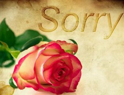 Rose + Sorry