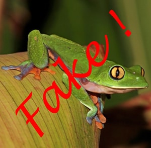 Frog or Fake!