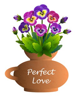 Flowers - Perfect Love